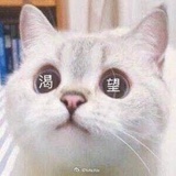 红烧鱼