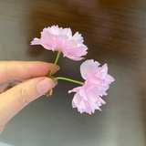 我是来加入的