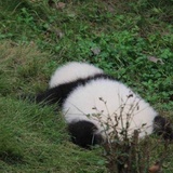 窥天窗