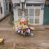 阿豆