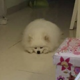 阿水