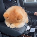 别敲我的门