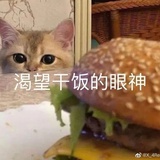 今天也要摸好鱼