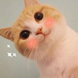 狗不理包子
