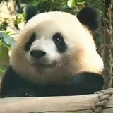 万里赴长白