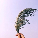 十黎九夏