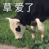 tttt