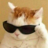 ( ꒪ͧ⌓꒪ͧ)