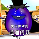 黑大帅（咸鱼中