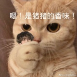 土鸡老师