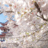 华波铭