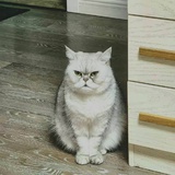 小隐