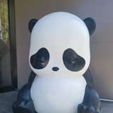 大龄学姐要上岸