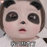 自由如风