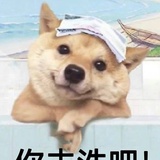 仗剑天涯梦