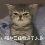 搞搞搞搞学习