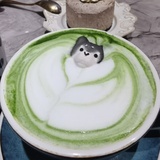 鱼的记忆