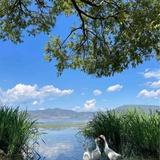 河流