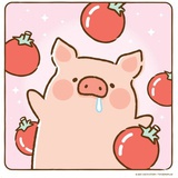 第几条