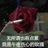 午夜心碎的玫瑰