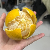今天很开心