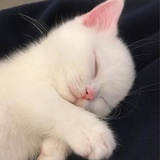 miaow～