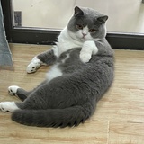 亚索
