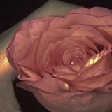 蜜糖