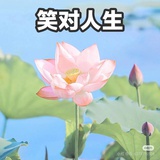秦恪