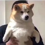 你们给我冲啊