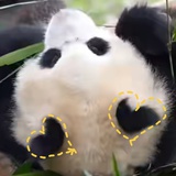 今天长脑子了吗