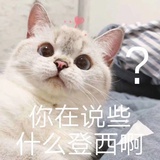 朵朵十里