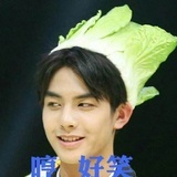 宋威龙好笑