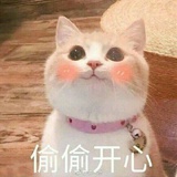 买东西第一名