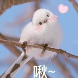 咿呀呀