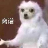 你猜我猜叫啥