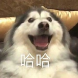 别把我笑死啦