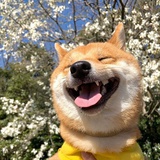 渣男没有坏心眼