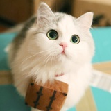 。