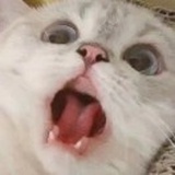 _一个废澈