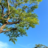平平仄仄平平仄