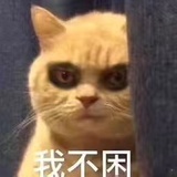 逐迹