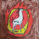 盖欧卡固拉多
