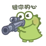 心桥怒放ZSF