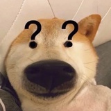 嚯哦kin