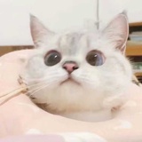 拾年灯