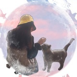 紫宸的喵宅