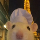 料理鼠王