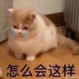Neko