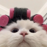 恩